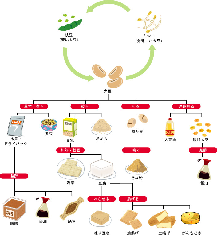 大豆を使用した食品