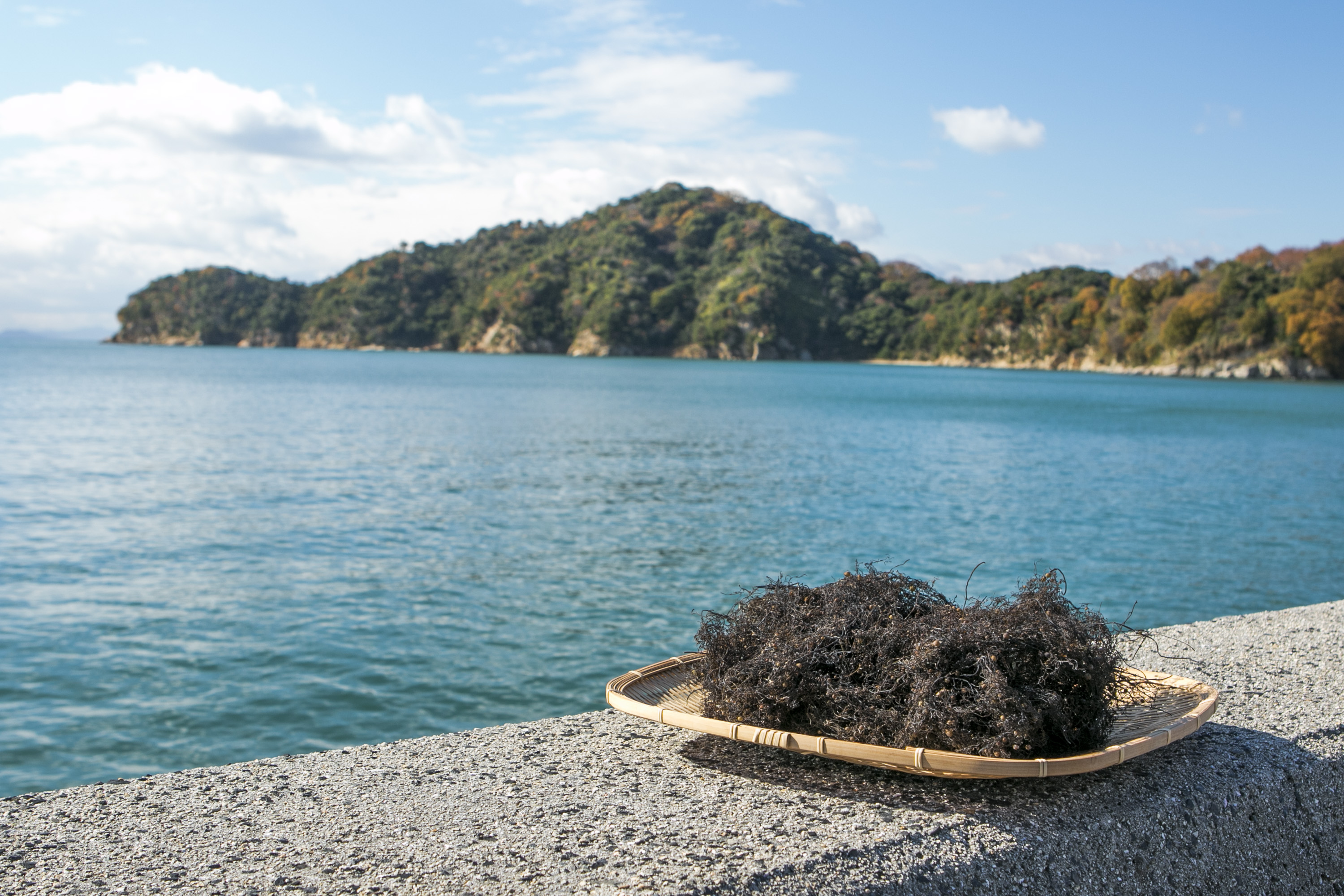 海人の藻塩_蒲刈の海
