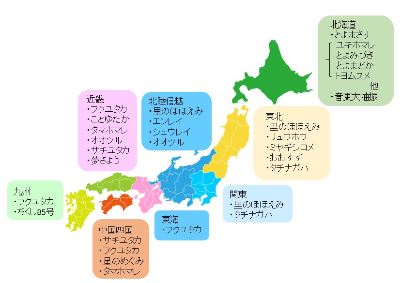 取扱い国産大豆一覧